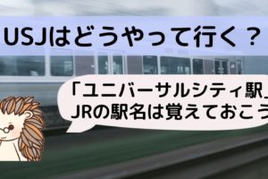 ｕｓｊ ユニバ でセルカ棒 自撮り棒 って使用していいの 禁止されてる みそろぐ